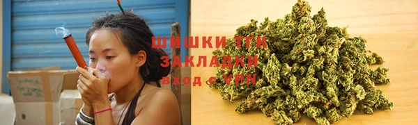 крисы Киренск