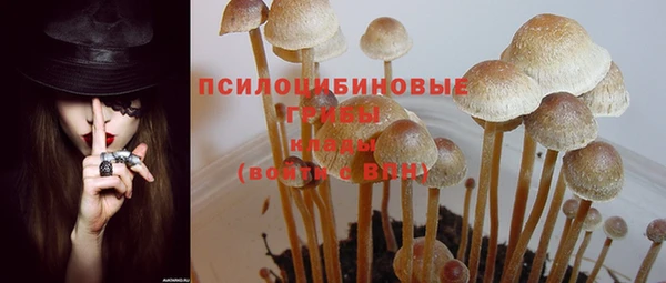 a pvp Киреевск