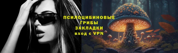 крисы Киренск