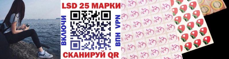 где купить наркотик  Михайловск  Наркотические марки 1,8мг 